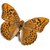 Rups